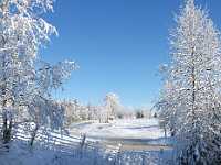 JAN Teichman pond and snow 8x11 6218