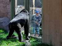 Calgary zoo 1762