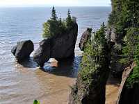 Hopewell Rock tide in2570