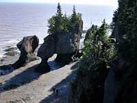 Hopewell Rocks tide out 2724